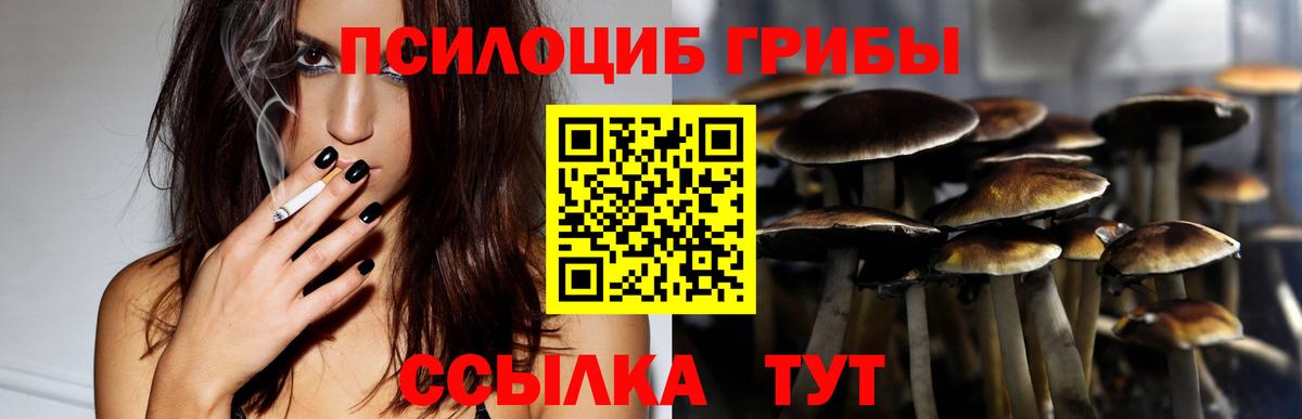 Галлюциногенные грибы GOLDEN TEACHER  Псилоцибиновые грибы прущие грибы  где найти   Пугачёв  Вход с VPN 